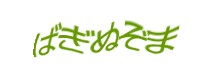 Authentication image